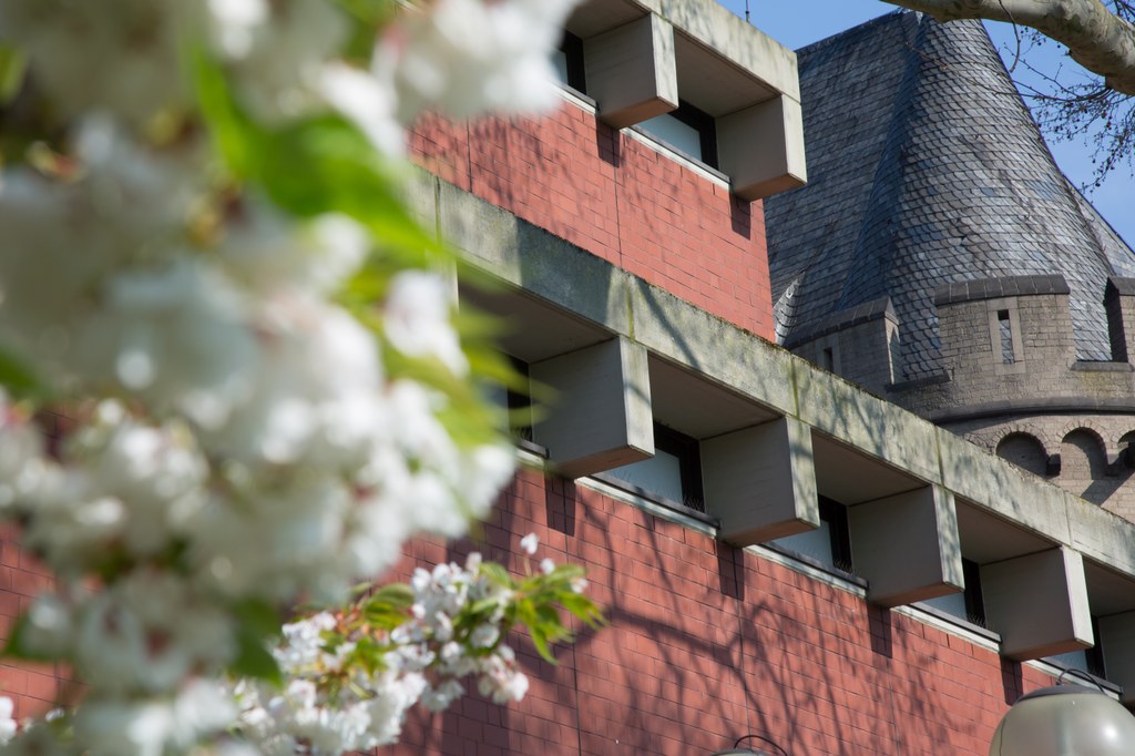 Clemens Sels Museum Neuss und Dependancen